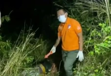 Tebo Gempar! Perempuan...