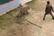 Pejabat India Ini Duel...
