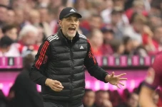 Bayern Muenchen Disarankan...