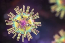 Mengenal Virus B Langka...