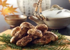 Mengenal Matsutake,...