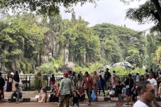 Taman Margasatwa Ragunan...