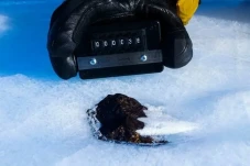 Ribuan Meteorit di Antartika...