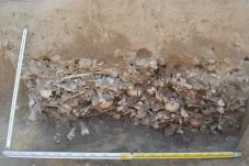 Kuburan Terkutuk Berisikan...