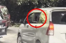 Viral Video Pengunjung...