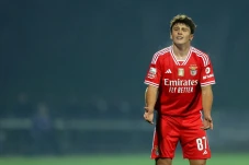 Nemanja Matic Sarankan...