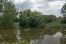 Viral Buaya Muara 3...