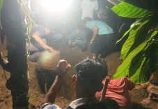 Petani Jagung Tewas...