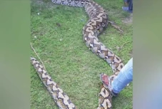 Warga Buton Tangkap...