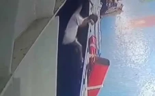 Viral! Video CCTV Merekam...