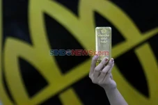 Sempat Turun, Harga...
