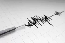 Gempa M4,9 Guncang Tambolaka...
