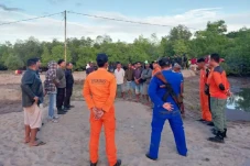Horor! Warga Ende Diterkam...