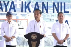 Kaesang Didorong Maju...