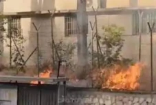 Pemukim Israel Bakar...