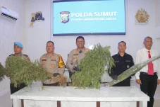 Polres Madina Temukan...