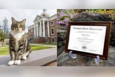 Mendapatkan Ijazah,...