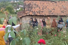 Petani Mawar di Nganjuk...