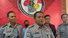 Napi yang Kabur dari...