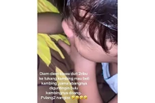 Viral! Bocil Beli Kambing...