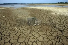 19% Wilayah Indonesia...