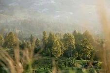 7 Kota Terdingin Indonesia...