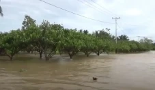 Banjir di Luwu Utara...