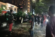 Pohon Besar di Jalan...