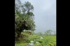 Keindahan Lembah Lohe...