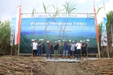 PTPN I Regional 4 Optimistis...