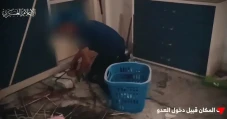 Perang Hari ke-241:...