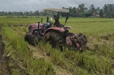 Lahan Rawa di Banyuasin...