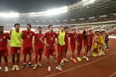Shayne Pattynama: Timnas...