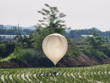 Balas Balon Tinja, Korea...
