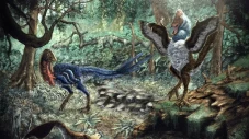 Yutyrannus Huali Dinosaurus...