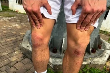 Kejamnya Rumput SUGBK...