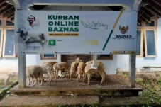 Kurban Online Sah atau...