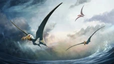 Pterosaurus Predator...