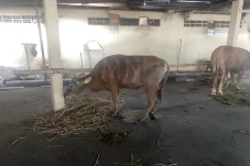 Ini Alasan MNC Peduli...