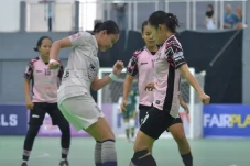 Hasil Liga Futsal Profesional...