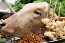 Manfaat Kepala Sapi...