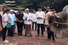Prabowo Bagikan 48 Ekor...