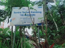 Program Pemberdayaan...