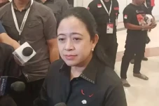 PDIP Akan Simulasikan...