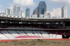 Intip Penampakan Rumput...