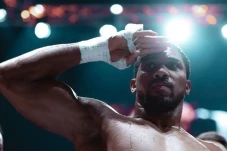 Bukan Tyson Fury, Anthony...