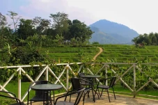 Pusat Informasi Wisata...