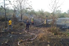 2 Hektare Hutan Jati...