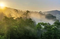7 Tempat Wisata Dingin...