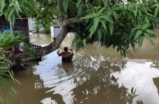 Banjir Melanda Sidenreng...
